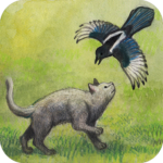 Milo and the Magpies